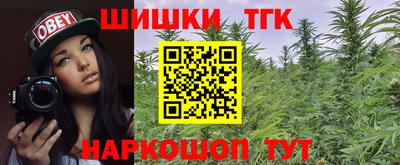 сатива Сланцы