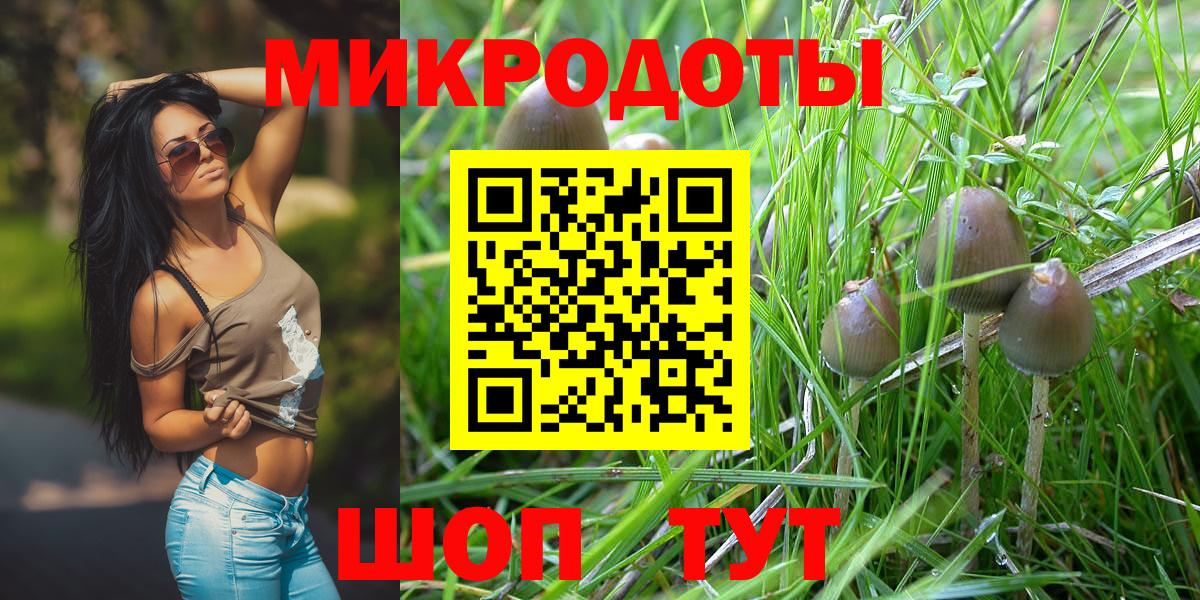 Галлюциногенные грибы прущие грибы  Псилоцибиновые грибы MAGIC MUSHROOMS  Саранск  Вход с VPN 